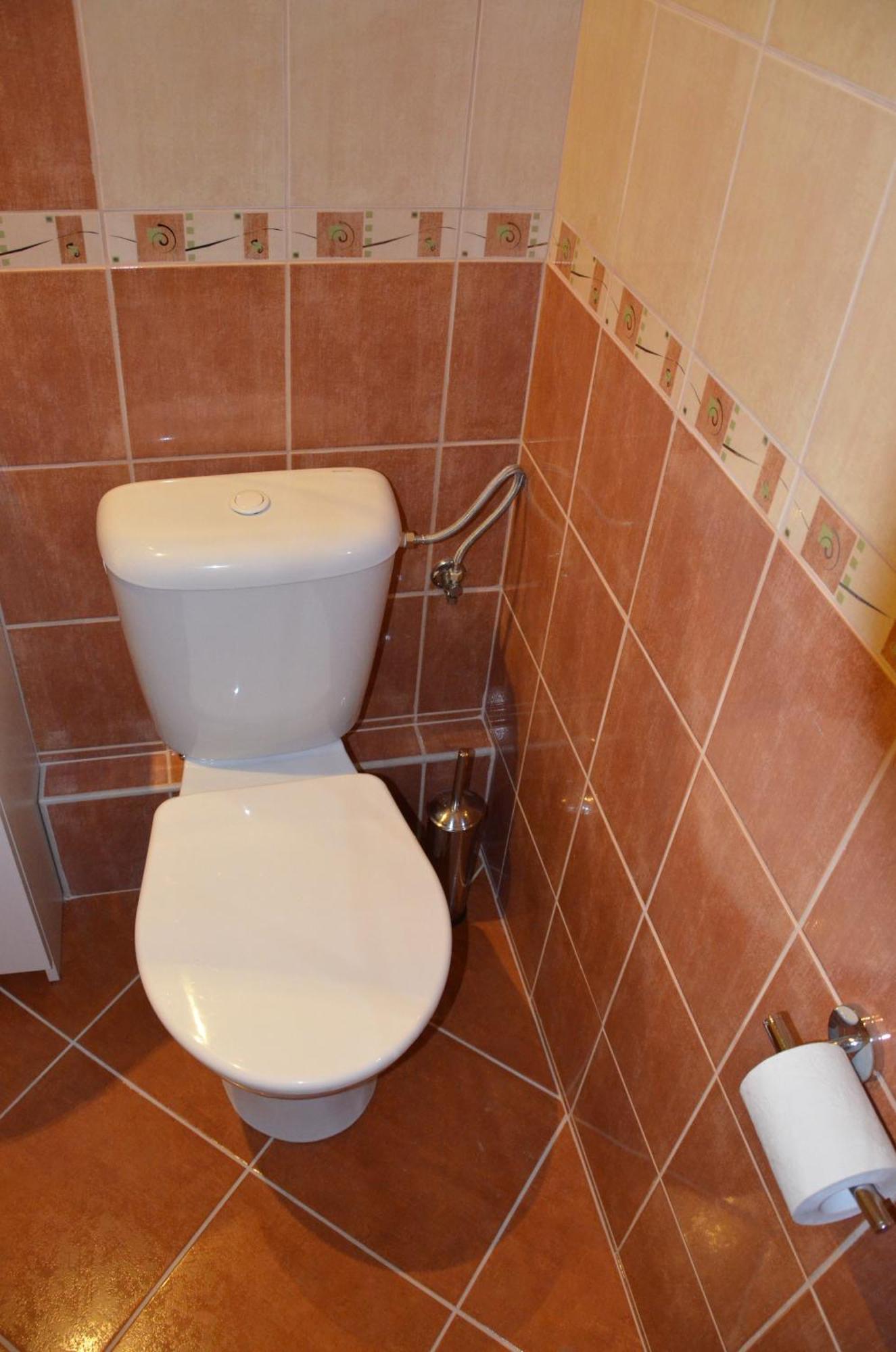 Palatin Apartment Čachtice Cameră foto